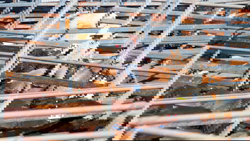 Spirit of Outback Queensland