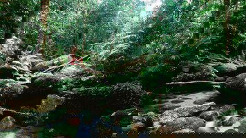 6 Day Tropical Queensland Highlights (APT)