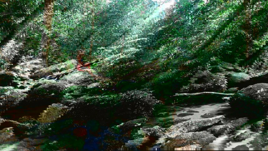 Tropical Queensland Highlights