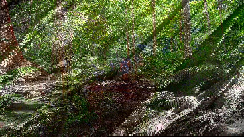 Journey through Tropical North Queensland