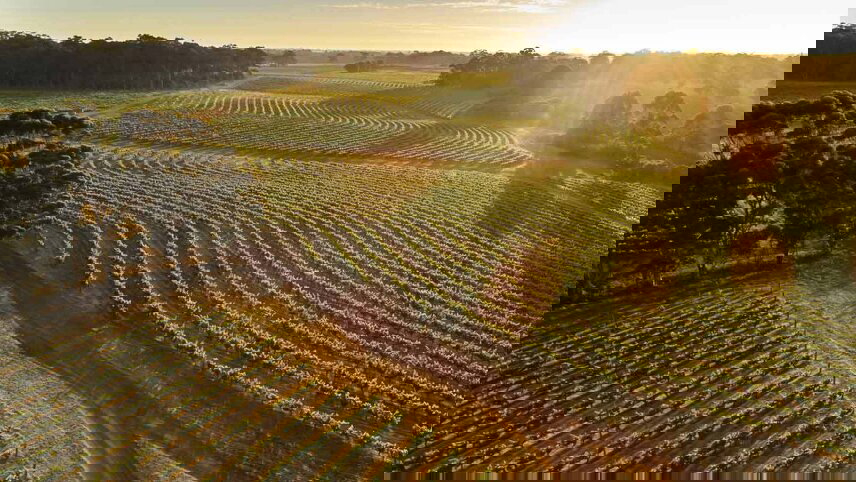 Margaret River and Karri Valley 4WD Exploration