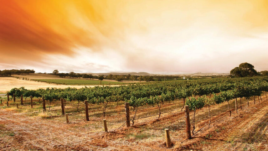 Margaret River and Karri Valley Explorer with Indian Pacific Rail