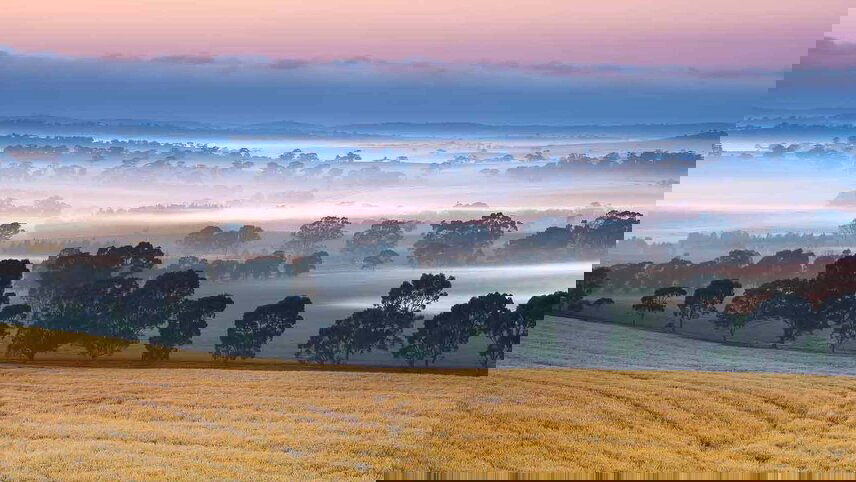 Central to South Explorer