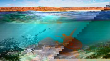 15 Day West Coast Explorer (APT)