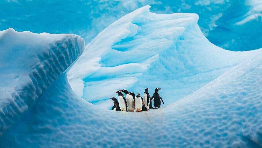 Antarctic Voyage