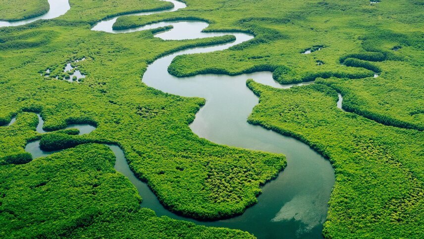 Antarctic Voyage with Peru and Amazon Cruise