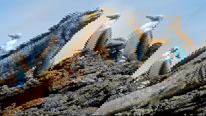 Ecuador and Galápagos Islands Cruise