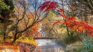 23 Day Cultural Japan with Kyushu (APT)