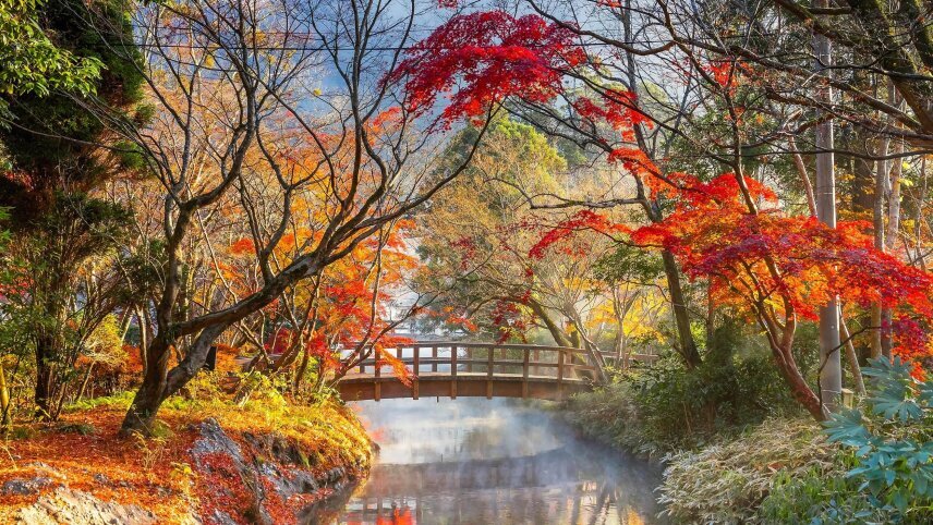 Cultural Japan with Kyushu
