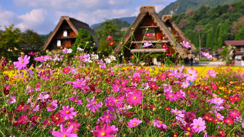 Ancient Kingdoms of Japan and South Korea