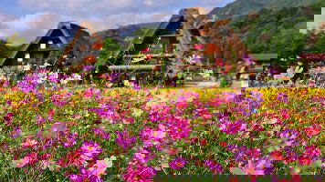 21 Day Ancient Kingdoms of Japan and South Korea (APT)