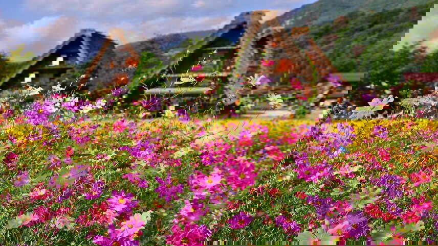 Ancient Kingdoms of Japan and South Korea