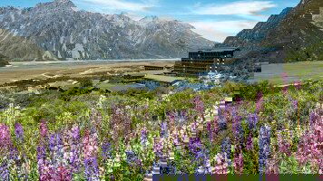 9 Day Southern Tourer (APT)