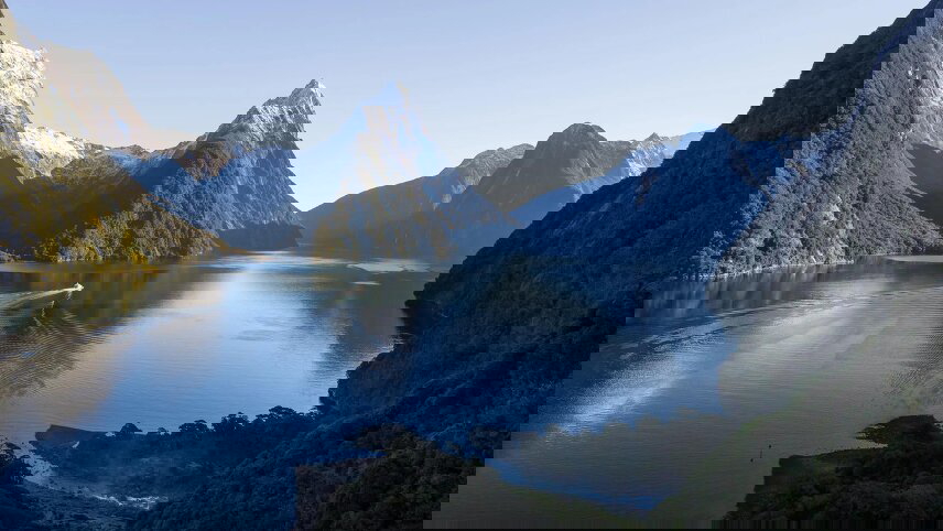 New Zealand Wonderland