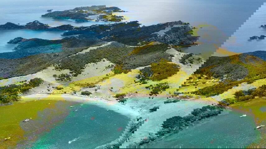 Brilliant Bay of Islands