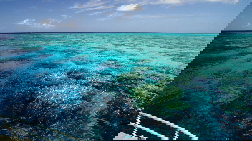 Australian Icons: Rock, Reef, Harbour & Wildlife