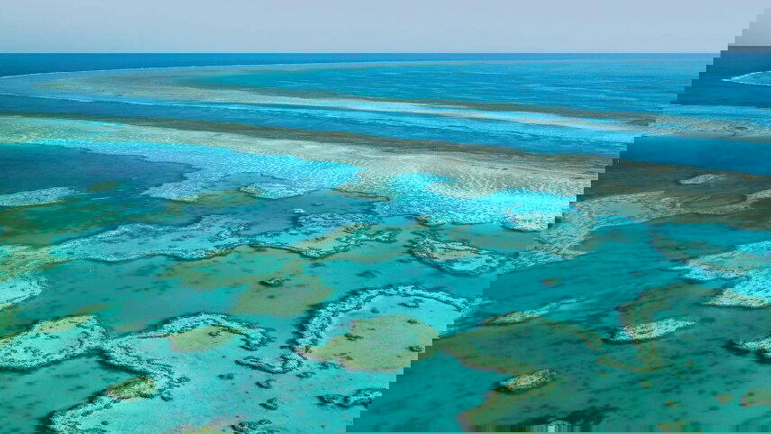 Great Barrier Reef Wonders