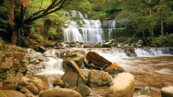 12 Day Tasmania Complete (Solo Departures) (APT)