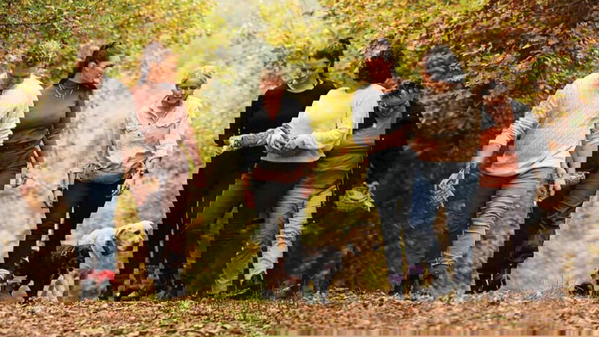 Tasmania Winter Wonders