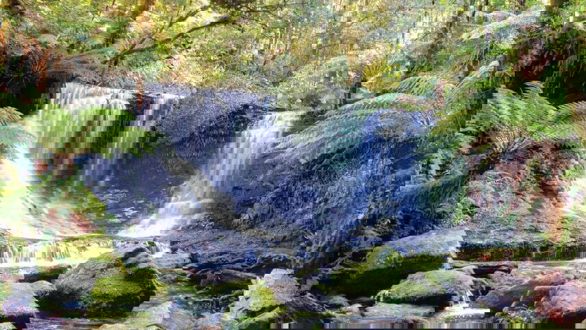 West Coast Highlights