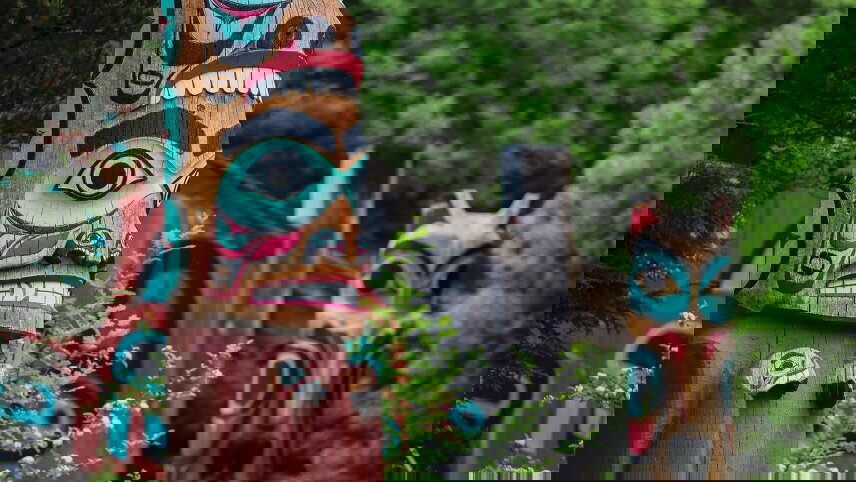 Alaska by Sea and Land