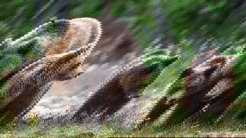 Eastern Canada, Rockies and Alaska by Sea and Land