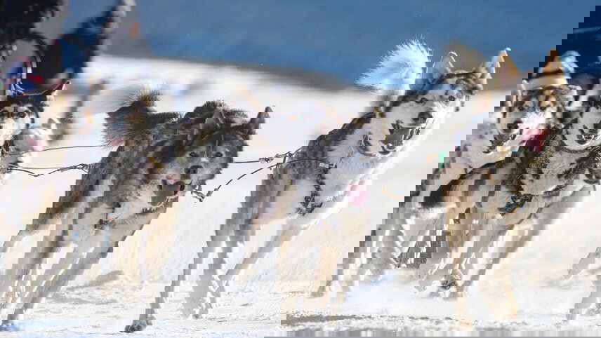 Winter in the Rockies and Northern Lights