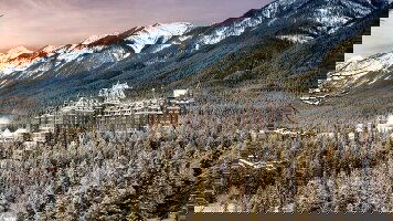 12 Day The Twelve Days of Christmas  (APT)