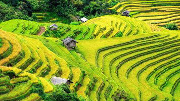 25 Day Vietnam and Cambodia Grand Tour (APT)