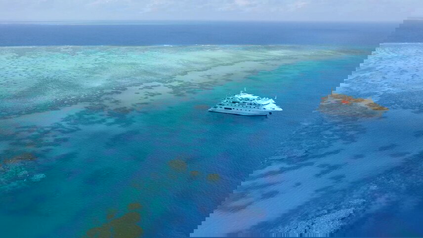 Great Barrier Reef Discovery