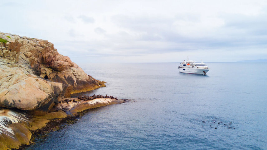 Treasures of Tasmania with Coastal Discovery