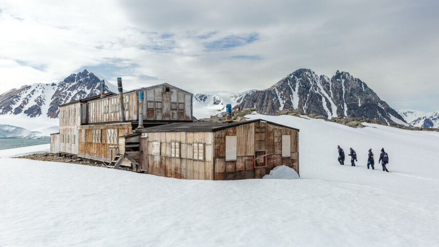Antarctic Feast: Circle in Depth