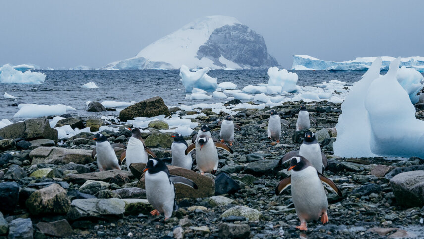 Across the Antarctic Circle