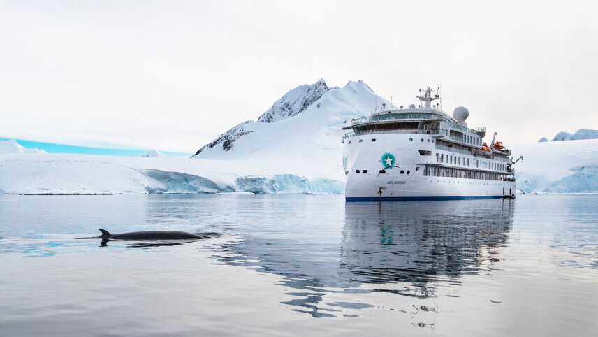 Spirit of Antarctica: Whale Migration
