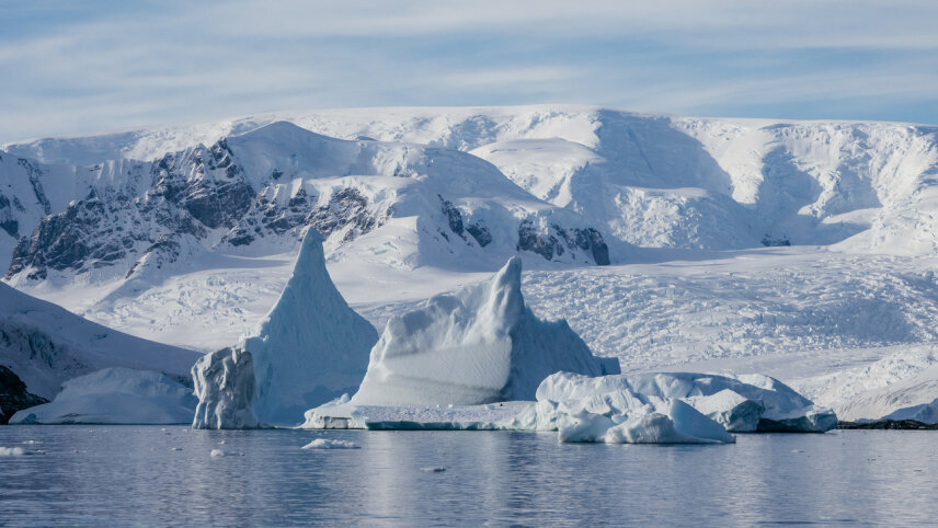 Spirit of Antarctica: Whale Migration