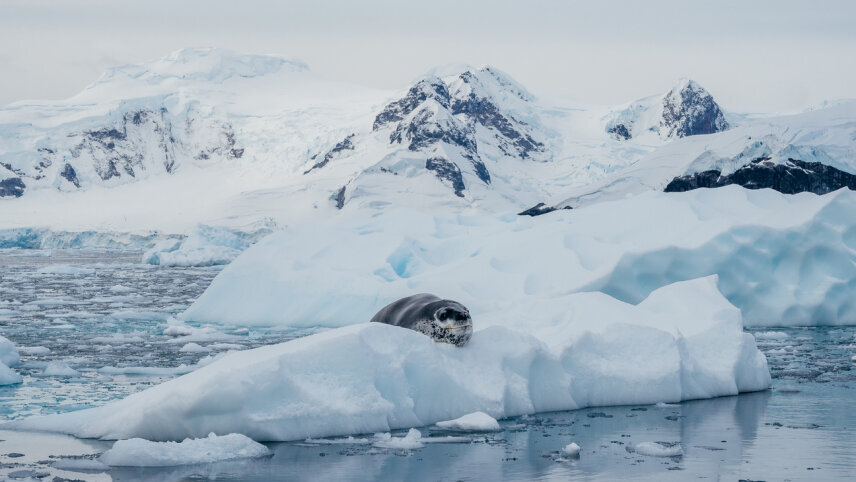 Spirit of Antarctica
