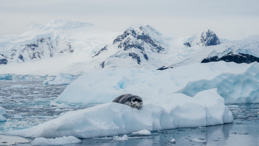 Spirit of Antarctica
