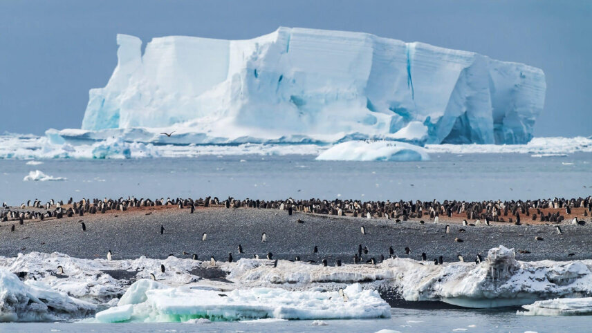Epic Antarctica: Crossing the 7th Continent