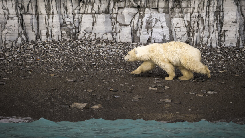 Traversing the Northwest Passage