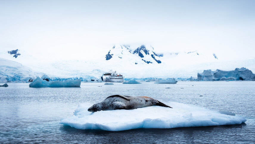 Falklands, South Georgia & Antarctic Peninsula