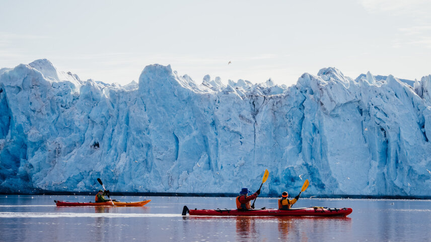 Jewels of the Arctic