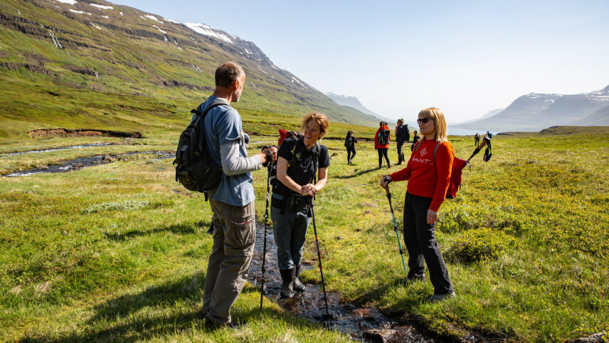 Iceland: Into the Westfjords