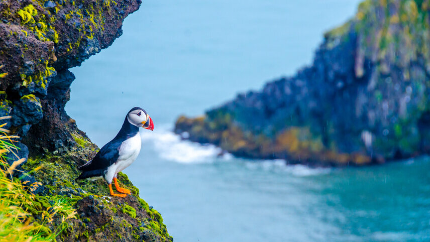 Iceland: Into the Westfjords