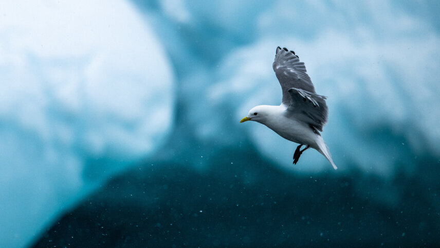 Northwest Passage