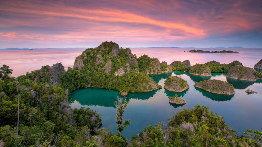 Living Treasures of Raja Ampat & the Spice Islands