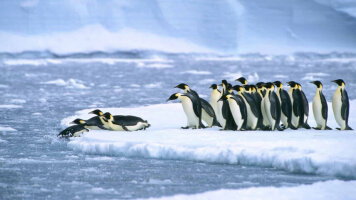 25 Day Ross Sea Odyssey (Aurora Expeditions)
