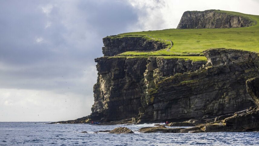 Wild Scotland