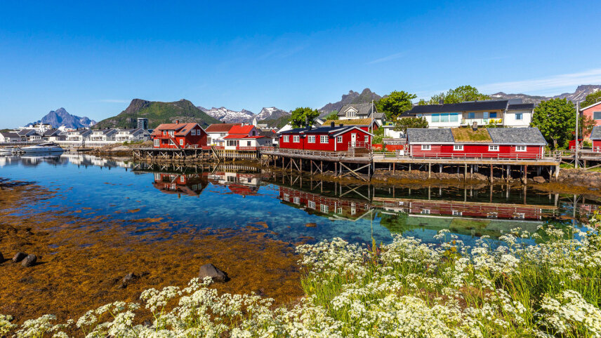 Wild Scottish Isles & Norwegian Fjords
