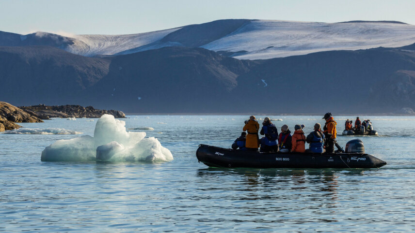 Polar Bears in the Changing Arctic: New Scientist Discovery Tours