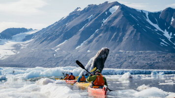14 Day Svalbard in Depth (Aurora Expeditions)